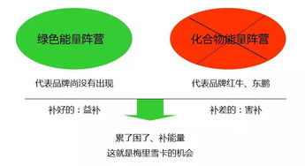 梅里雪卡香雪制藥飲品營(yíng)銷策劃案例解析